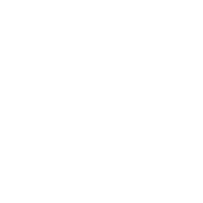 NIXX LOGO